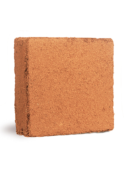 Coco Peat